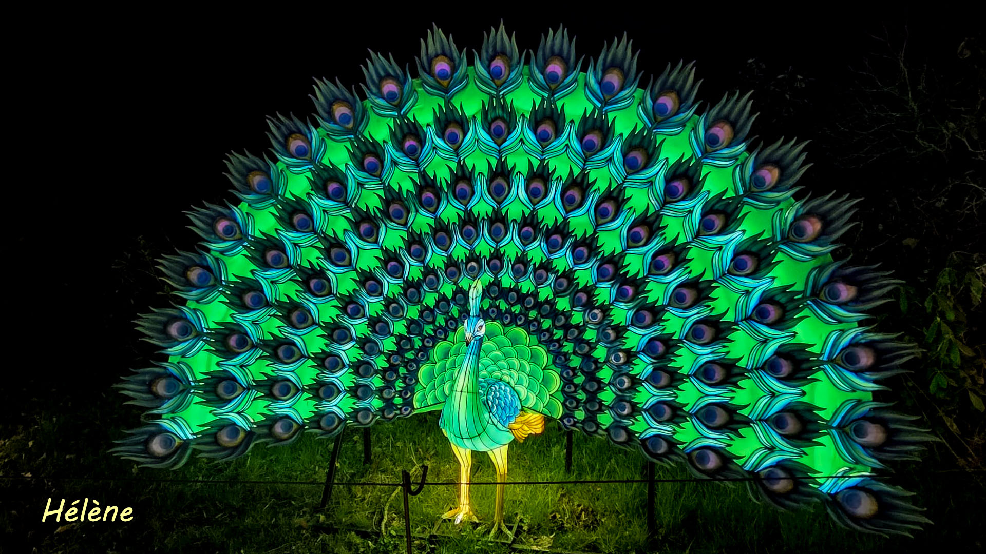 THOIRY -Illumination ,  Lumières sauvages 2025-2026 